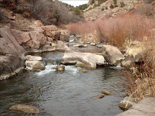 Stimulator Yellow  Mossy Creek Fly Fishing